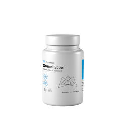Somnilybben (60 comprimidos) - Lybben