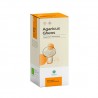Agaricus (90 cápsulas) Gheos