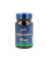 Harpagofito (60 comprimidos) G.S.N.