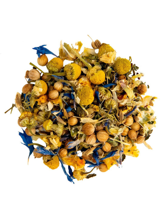 Tisana EN MOVIMIENTO