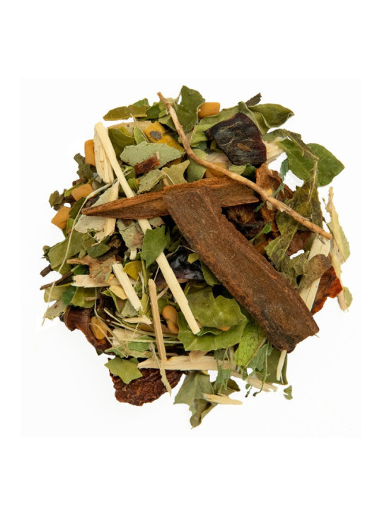 Tisana REGULADOR DE AZÚCAR