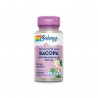 Bacopa
