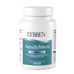 Lybben - Ansilybben