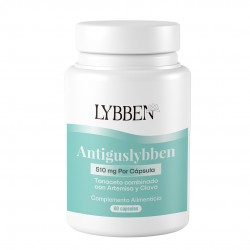 Lybben - ANTIGUSLYBBEN (60 cápsulas de 510 mg)