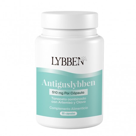 Lybben - ANTIGUSLYBBEN (60 cápsulas de 510 mg)