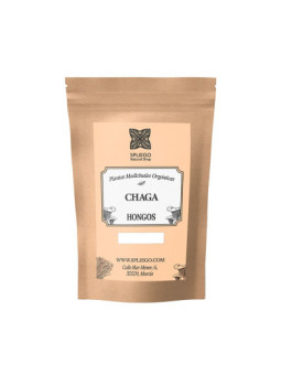 CHAGA I Hongo