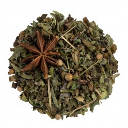 Bienestar Limongi
