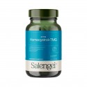 Homocystrol+TMG 60C Salengei