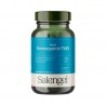 Homocystrol+TMG 60C Salengei