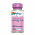 Ashwagandha KSM-66 PLUS (60 Vegcaps) Solaray