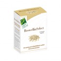 Boswellia Select 60 cápsulas - 100% Natural