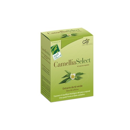 Camellia Select