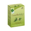 Camellia Select (60 cápsulas de 150 mg) 100% Natural