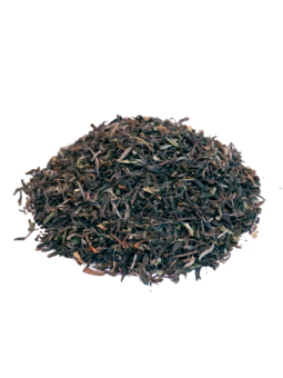 Té Negro DARJEELING