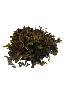 Té Blanco PAI MU TAN BIO