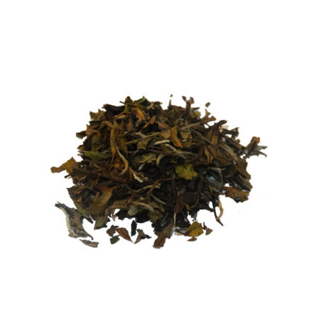 Té Blanco PAI MU TAN BIO