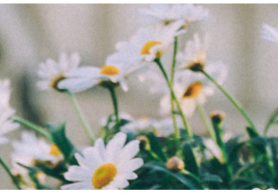 Depresión estacional: cuidar el interior para sentirte mejor por fuera image