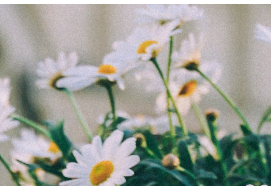 Depresión estacional: cuidar el interior para sentirte mejor por fuera